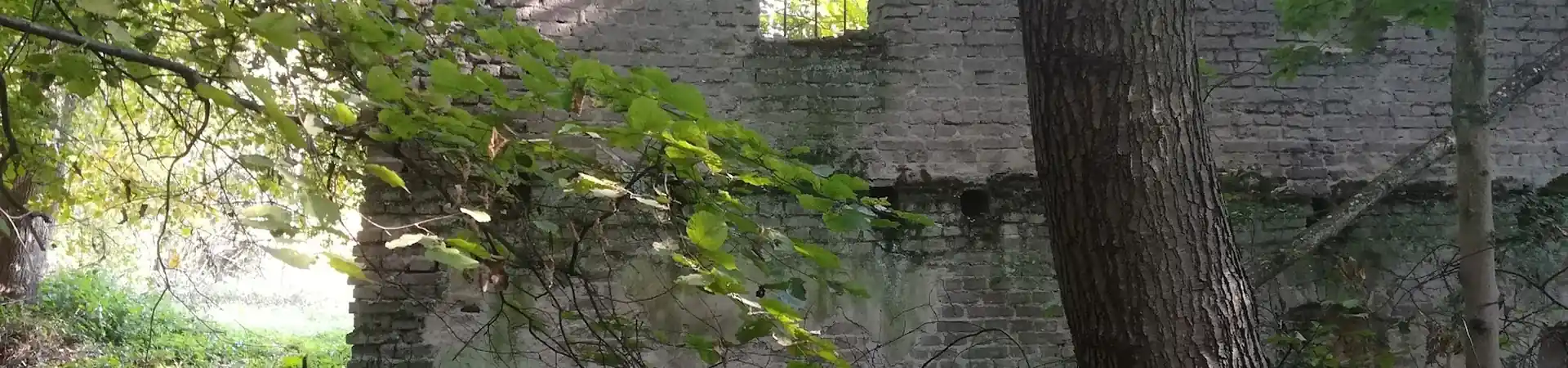 Charakterystyczne okolica Bodzanowa