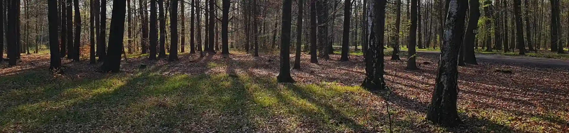 Charakterystyczne okolica Czerwionki-Leszczyn