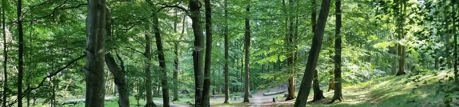 Charakterystyczne okolica Człuchowa