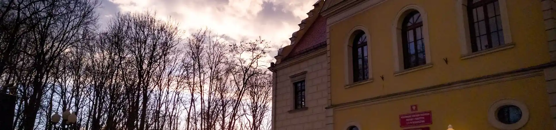 Charakterystyczne okolica Działoszyna