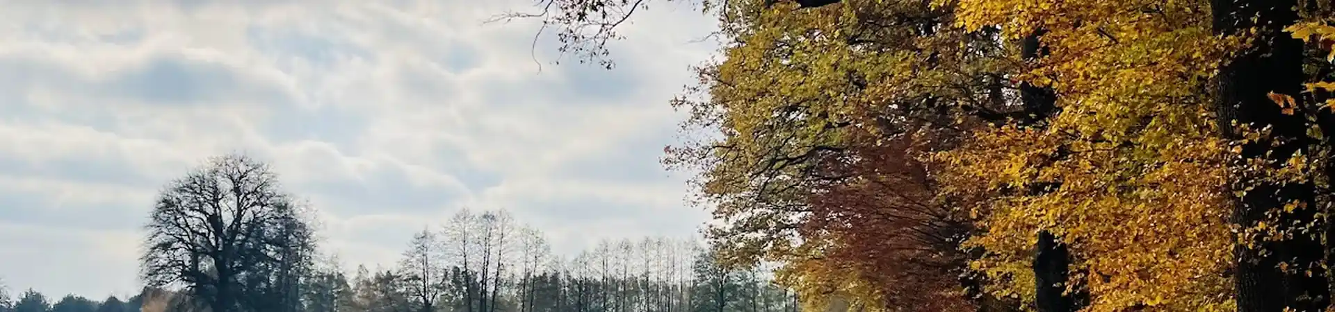Charakterystyczne okolica Głowaczowa