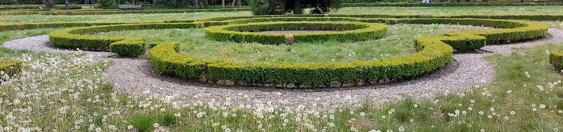 Charakterystyczne okolica Gniewkowa