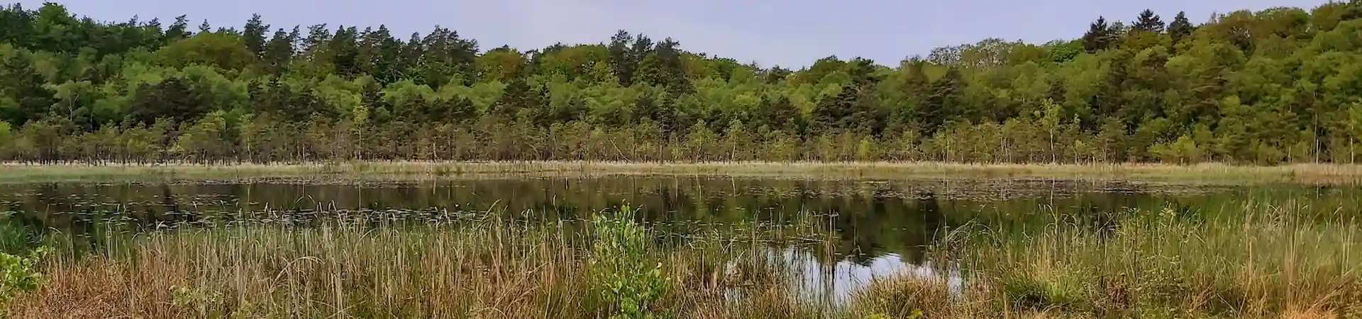 Charakterystyczne okolica Golczewa