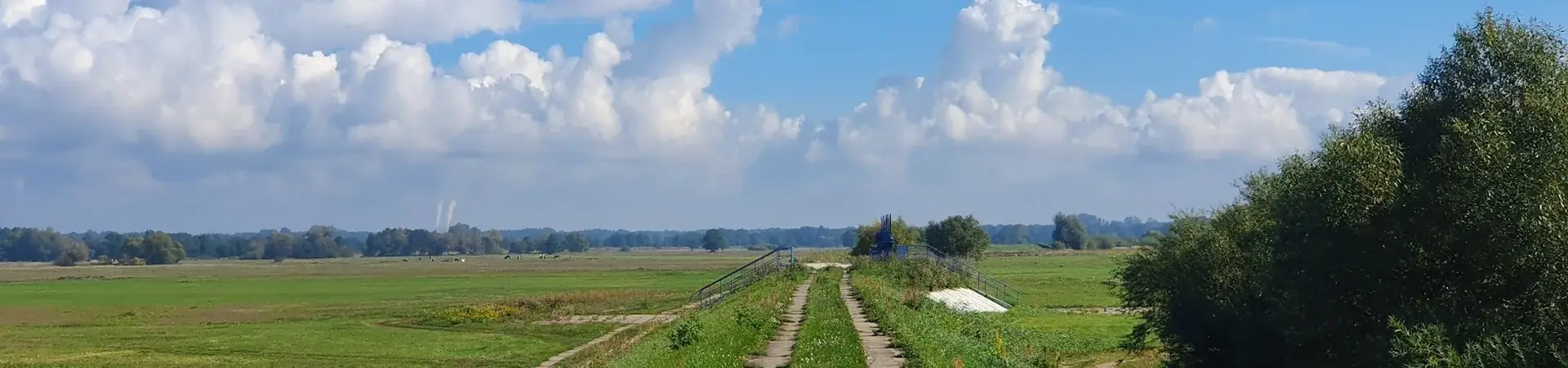 Charakterystyczne okolica Goliny