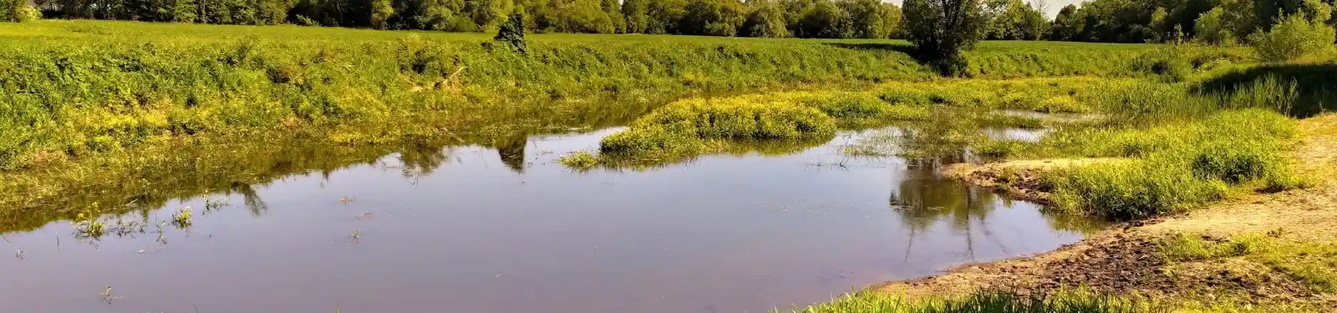 Charakterystyczne okolica Grabowa nad Prosną