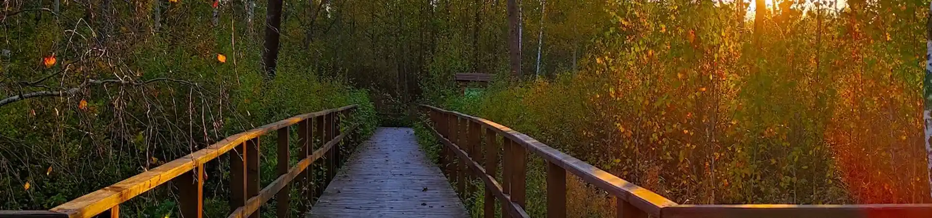 Charakterystyczne okolica Hajnówki