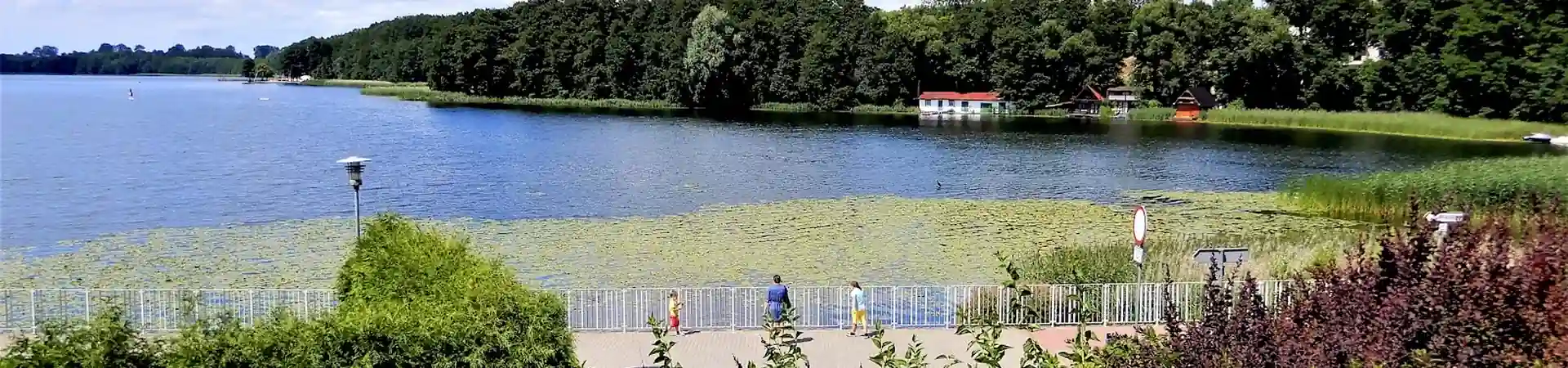 Charakterystyczne okolica Kamienia Krajeńskiego