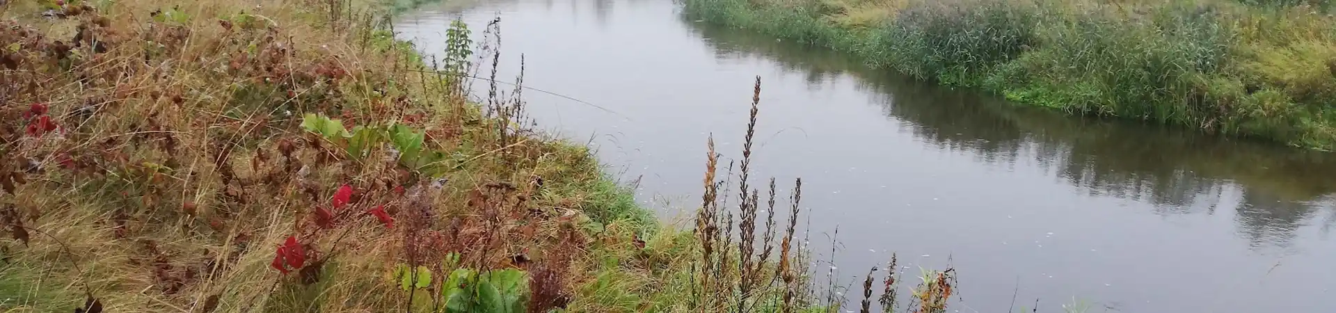 Charakterystyczne okolica Łochowa