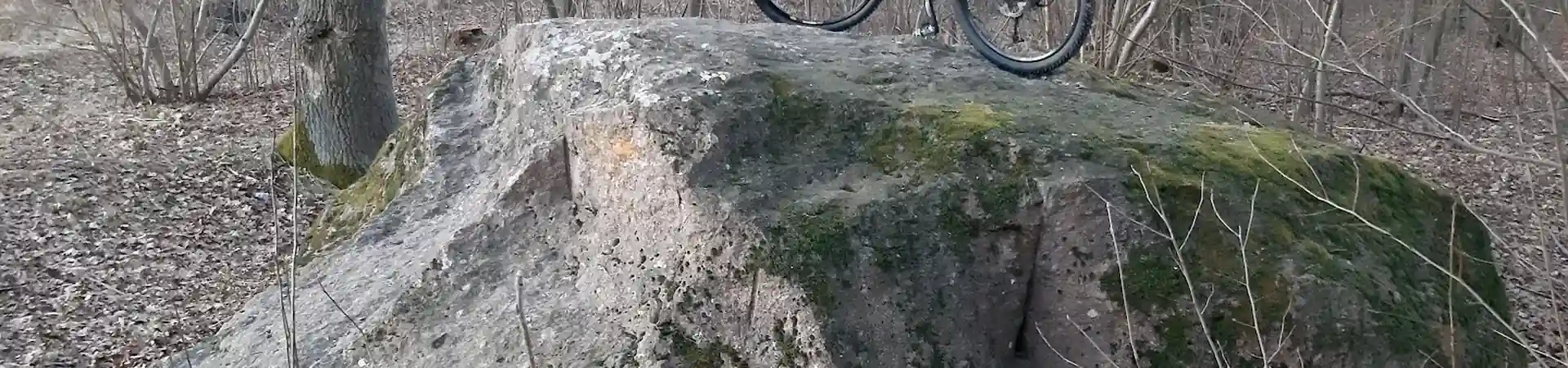 Charakterystyczne okolica Międzyborza