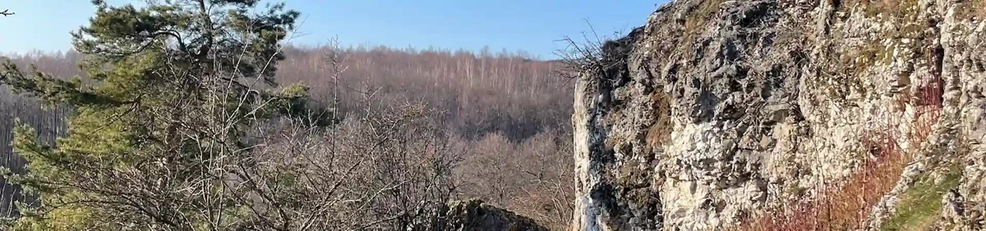 Charakterystyczne okolica Miękini