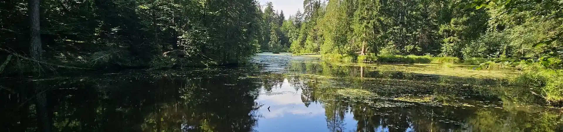 Charakterystyczne okolica Pionek