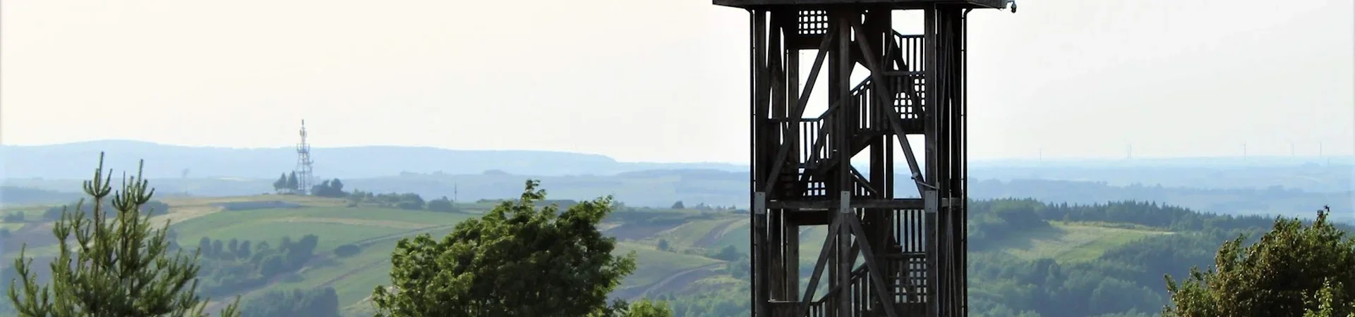 Charakterystyczne okolica Pruchnika