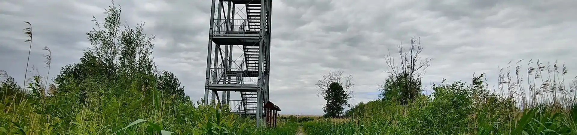 Charakterystyczne okolica Przemkowa