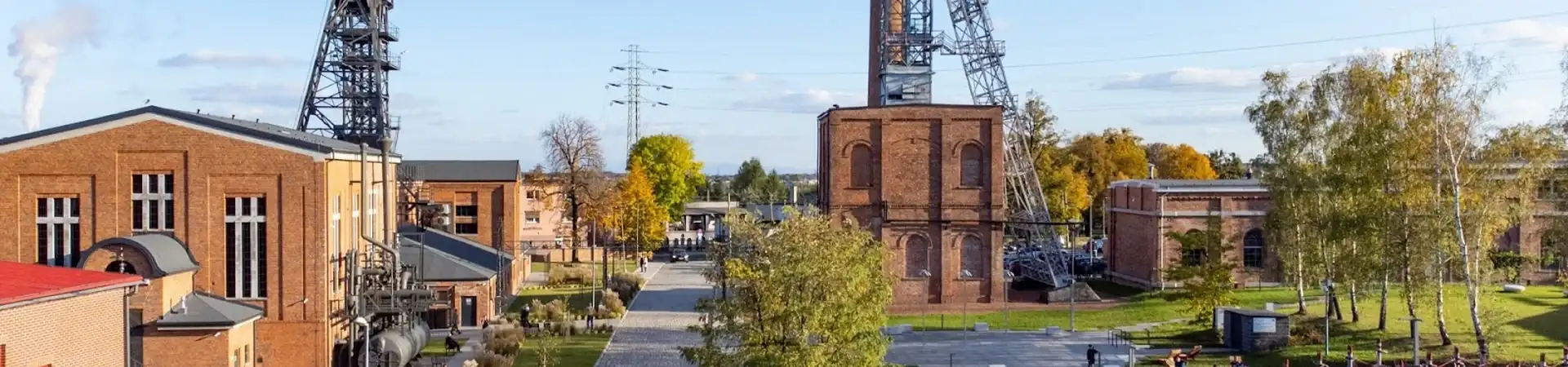 Charakterystyczne okolica Radlina