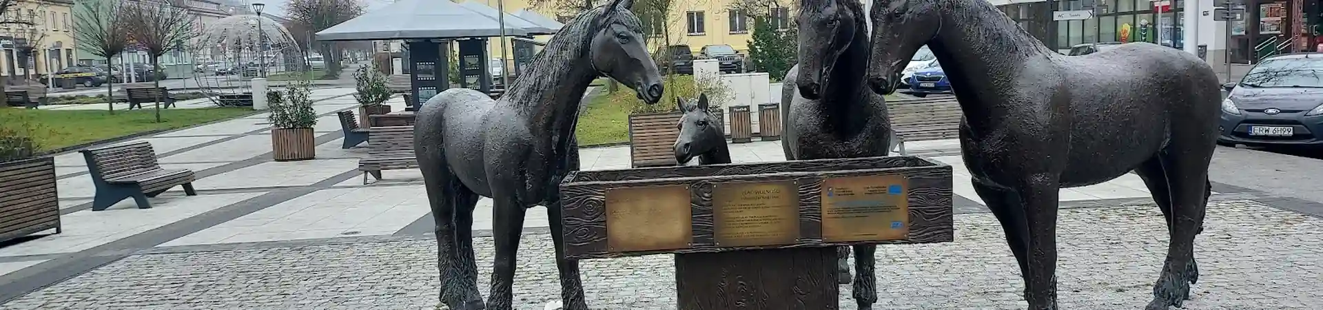 Charakterystyczne okolica Rawy Mazowieckiej