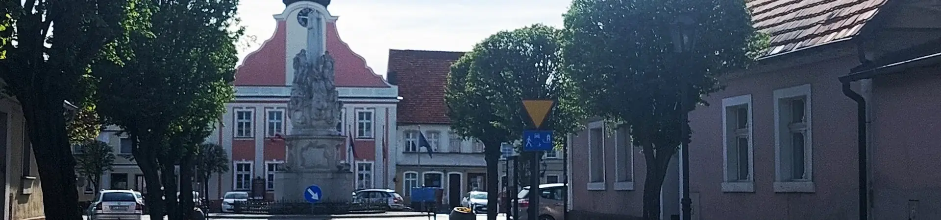 Charakterystyczne okolica Rydzyny