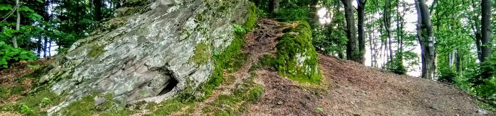 Charakterystyczne okolica Ryglic