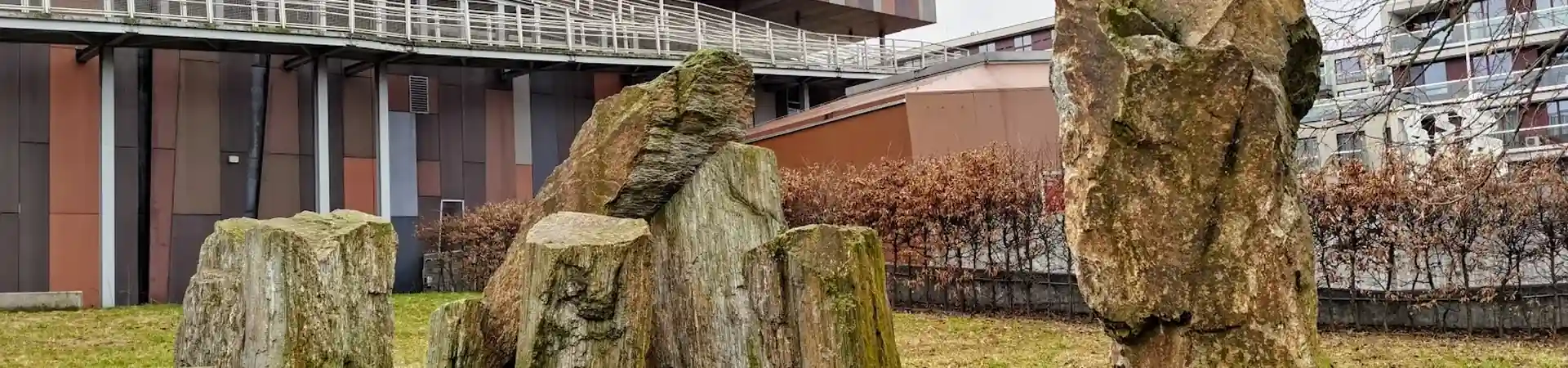 Charakterystyczne okolica Siennicy