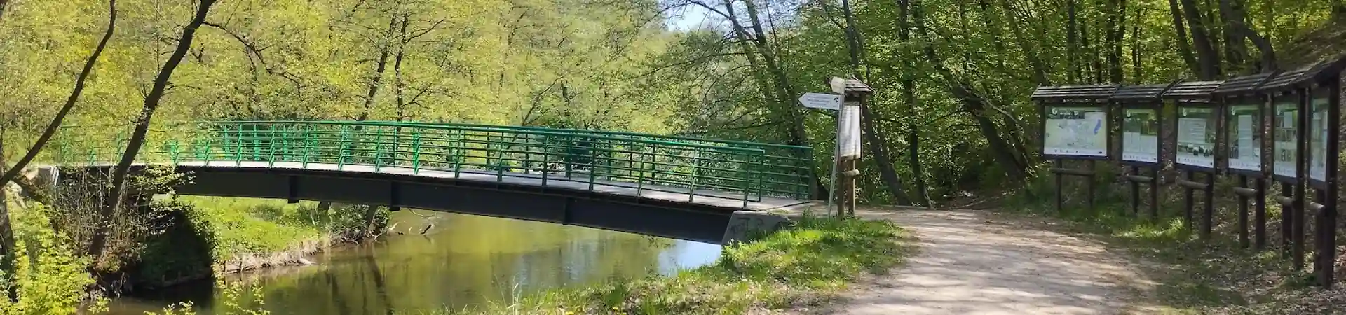 Charakterystyczne okolica Skórcza