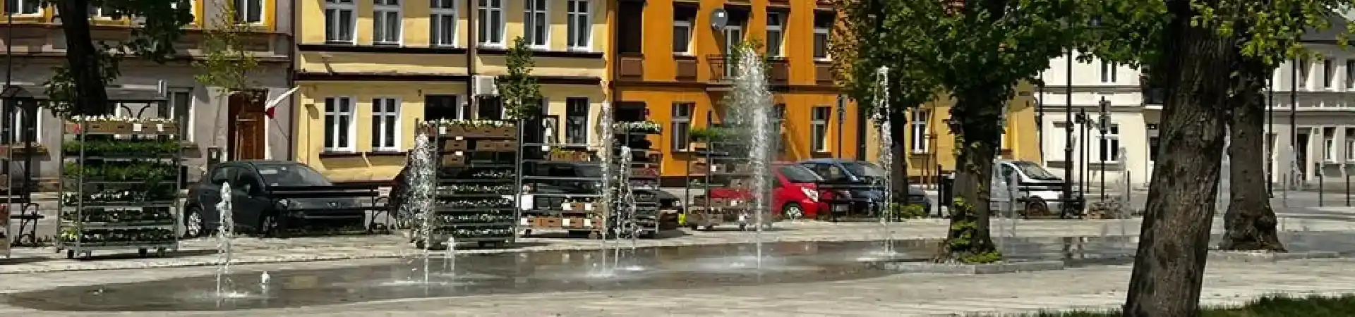 Charakterystyczne okolica Stawiszyna