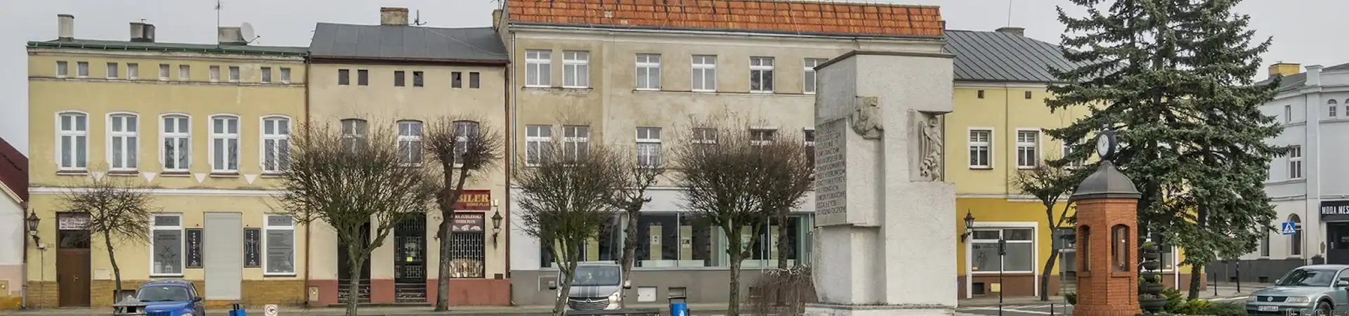Charakterystyczne okolica Stęszewa