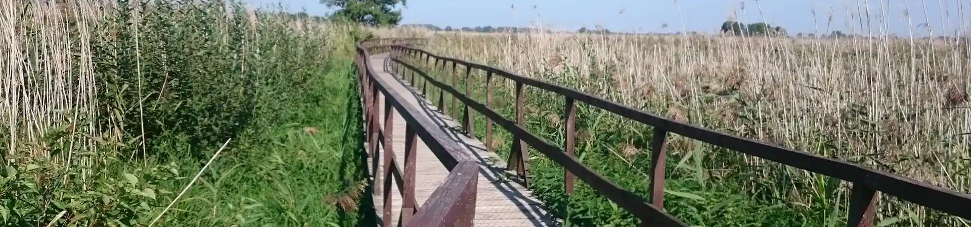 Charakterystyczne okolica Szepietowa