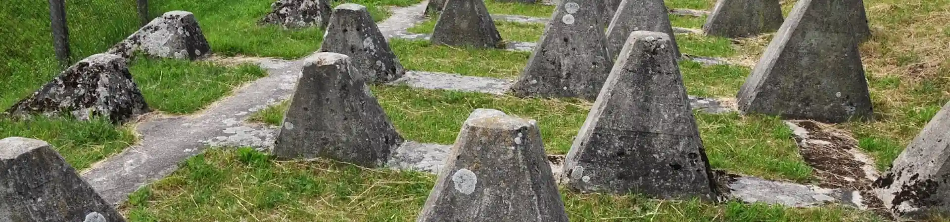 Charakterystyczne okolica Trzciela