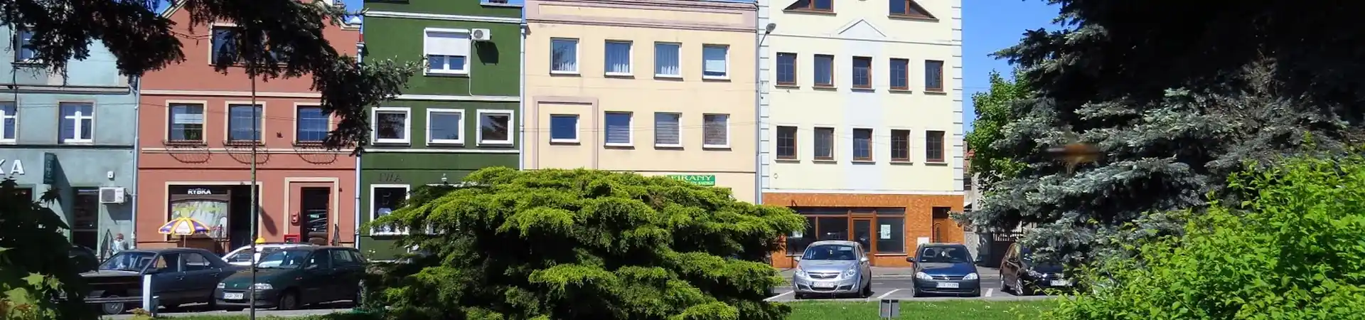 Charakterystyczne okolica Wąsosza
