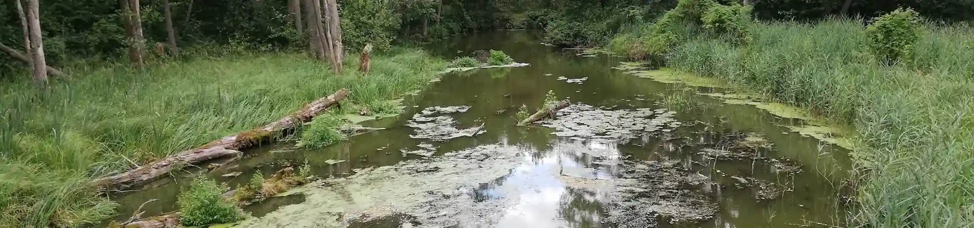Charakterystyczne okolica Wielbarka
