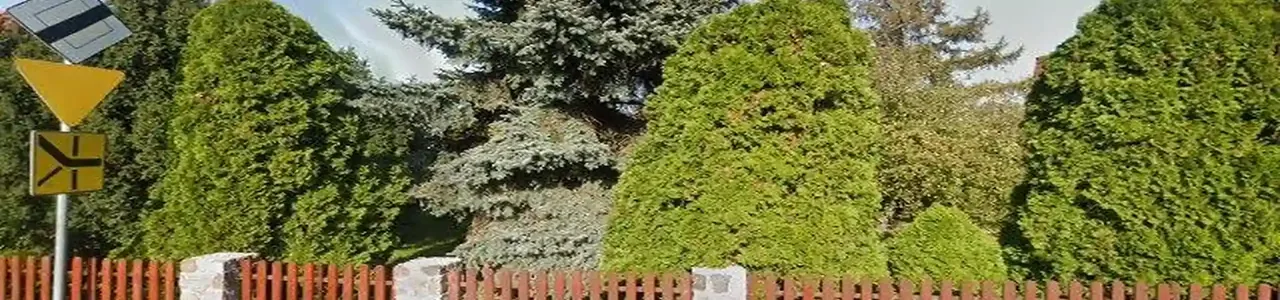 Zdjęcie placówki Banku Spółdzielczego przy ulicy Nowa w Dobrzycy