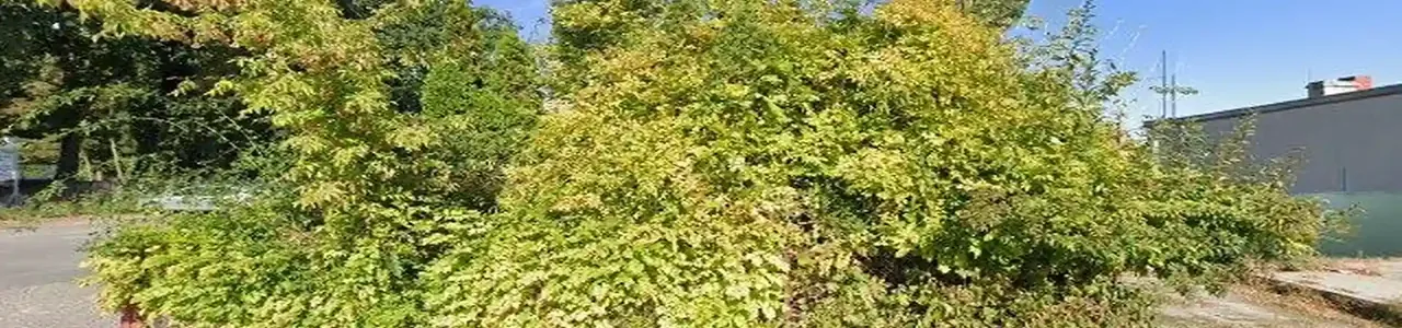 Zdjęcie placówki Banku Spółdzielczego przy ulicy Centralnej w Dominowie