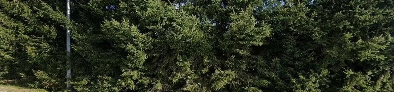 Zdjęcie placówki Banku Spółdzielczego przy ulicy Gołkowice Górne w Gołkowicach