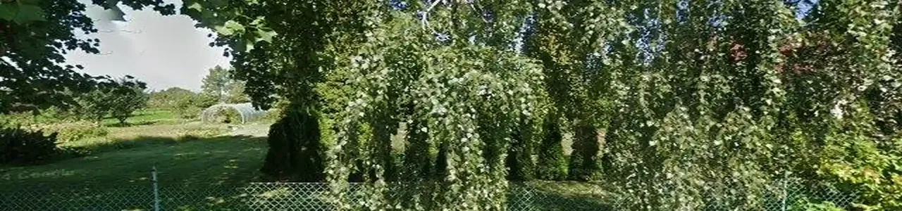 Zdjęcie placówki Banku Spółdzielczego przy ulicy Głównej w Hażlach