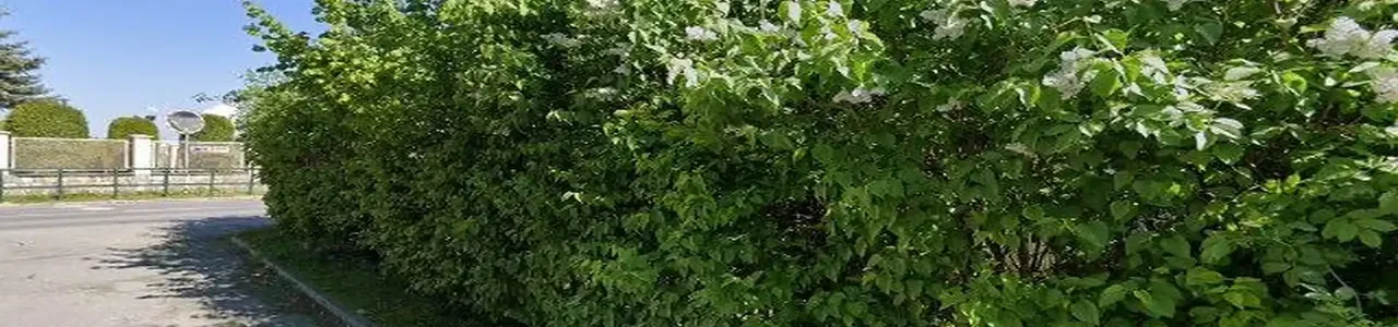 Zdjęcie placówki Banku Spółdzielczego przy ulicy Rynek w Jedliczu