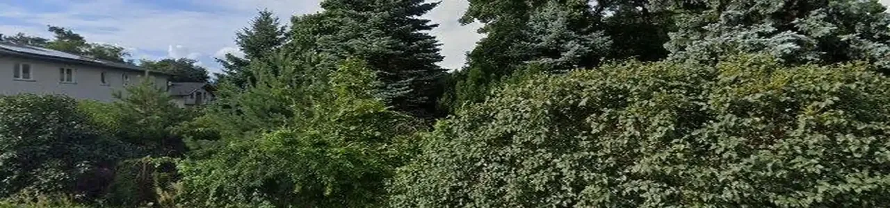 Zdjęcie jednej z placówek banku spółdzielczego w Jedlni Letnisku