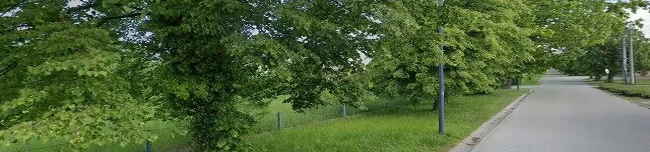 Zdjęcie placówki Banku Spółdzielczego przy ulicy Lipowej w Jerzmanowej