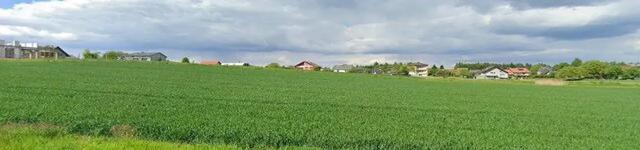 Zdjęcie placówki Banku KłajKłaj przy ulicy Wspólnej w Krakowie