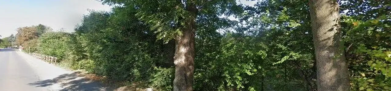 Zdjęcie placówki Banku Spółdzielczego przy ulicy Kozubszczyzna w Kozubszczyznie