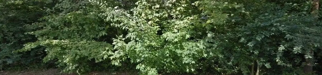 Zdjęcie placówki Banku Spółdzielczego przy ulicy Zawadzkiego w Krupskim Młynie