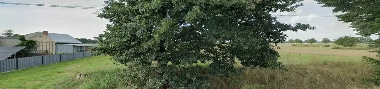 Zdjęcie placówki Banku Spółdzielczego przy ulicy Odrodzenia w Lasowicach Małych