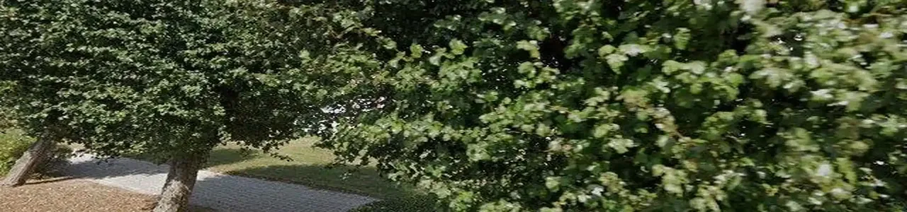 Zdjęcie placówki Banku Spółdzielczego przy ulicy Wiertników w Piechcin