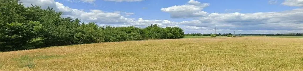 Zdjęcie placówki Banku Płoniawy-Bramura przy ulicy Płoniawy w Płoniawach