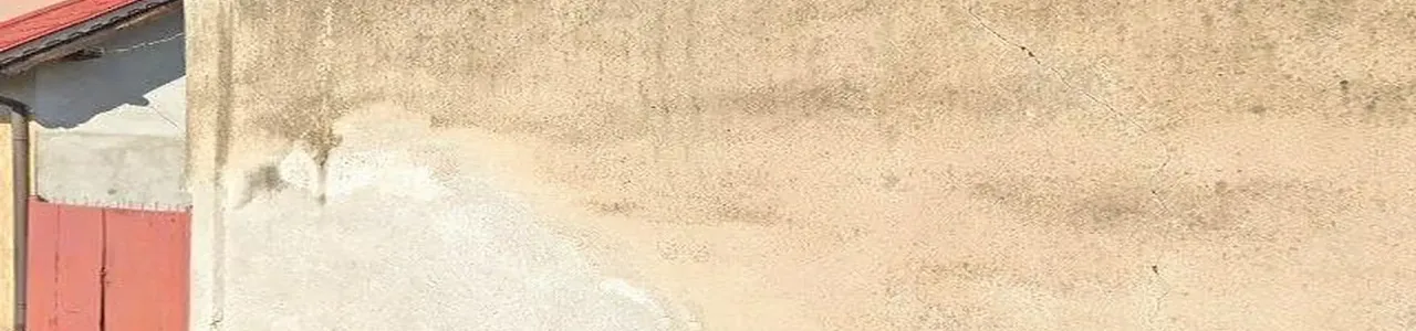 Zdjęcie placówki Banku Spółdzielczego w Rakoniewicach przy ulicy Powstańców Wielkopolskich.