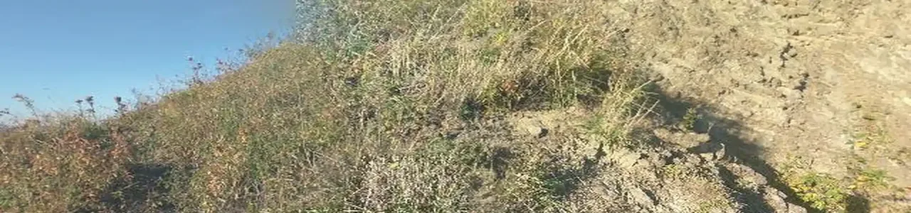 Zdjęcie placówki Banku Spółdzielczego przy ulicy Piłsudskiego w Rypinie