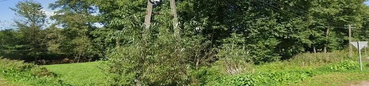 Zdjęcie placówki Banku Spółdzielczego przy ulicy Rzeczyca Ziemiańska w Rzeczycy Ziemiańskiej