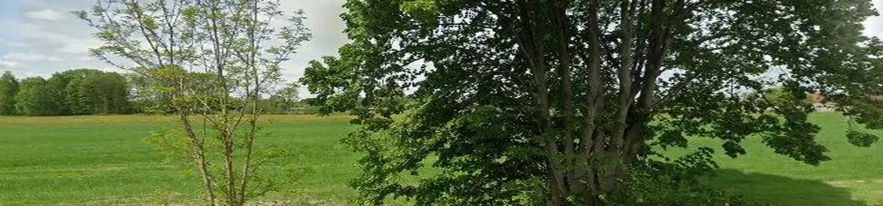 Zdjęcie placówki Banku Spółdzielczego przy ulicy Wielkopolskiej w Sośnieul