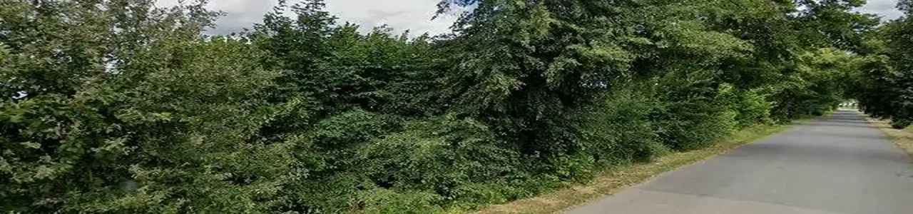 Zdjęcie placówki Banku Spółdzielczego przy ulicy Lipowej w Szymankowie