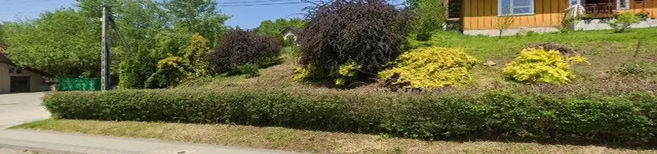 Zdjęcie placówki Banku Spółdzielczego przy ulicy Trzciana w Trzcianie