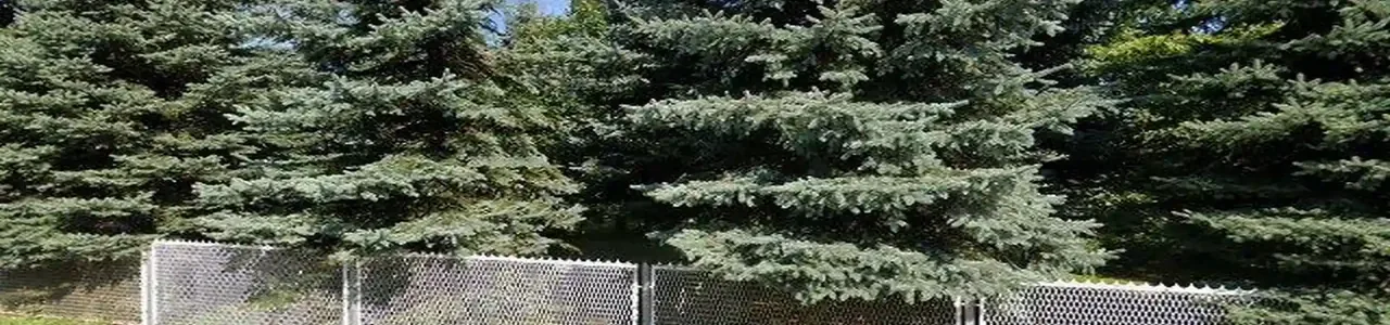 Zdjęcie placówki Banku Spółdzielczego przy ulicy Ujanowice w Ujanowicach