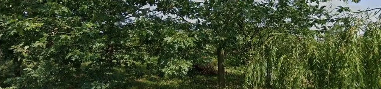 Zdjęcie placówki Banku Spółdzielczego przy ulicy Uścimów Stary w Uścimów Stary